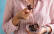 Vegetarisches Rezept: Griechische Joghurt-Bites_1