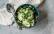 Vegetarisches Rezept: Kohlrabisalat mit Senf-Dressing 3