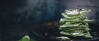 Vegetarisches Rezept: Matcha-Bruch