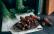 Vegetarisches Rezept: Nougatstangen