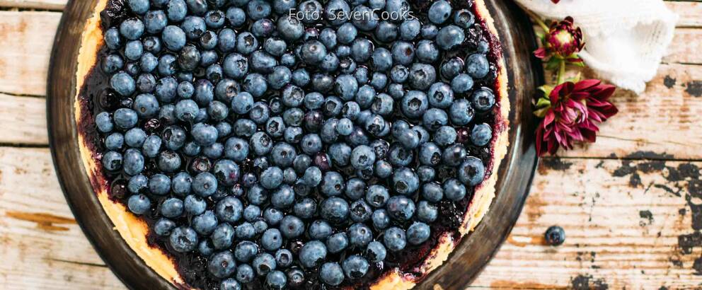 Vegetarisches Rezept: NY Cheesecake mit Heidelbeertopping_3