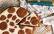 Fertiges Rezept: Einfacher Zupfkuchen