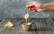 Vegetarisches Rezept: Sauce Hollandaise 2