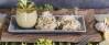 Vegetarisches Rezept: Stangensellerie-Pesto mit Tagliatelle 1