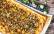 Vegetarisches Rezept: Süßkartoffel-Blätterteig-Tarte 2