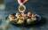 Vegetarisches Rezept: Walnuss Rosenkohl Fingerfood