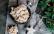 Vegetarisches Rezept: Wespennester 2