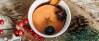 Vegetarisches Rezept: Zuckerarmer Kinderpunsch